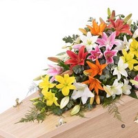 Lily Casket Spray   Mixed Colours *
