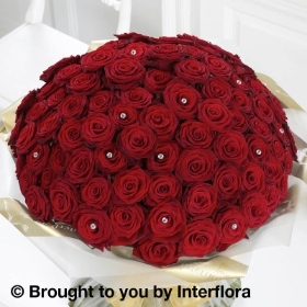 Ultimate 100 Luxury Rose Hand tied