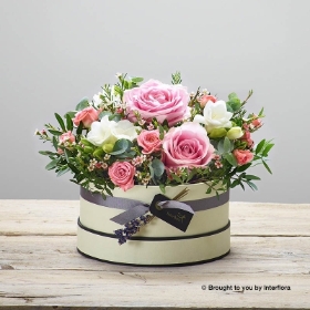 Rose Blush New Baby Hatbox with Recycled Ralph Bear